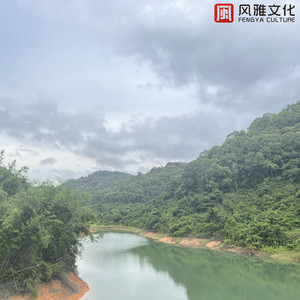 非洲裸体男人的JJ
